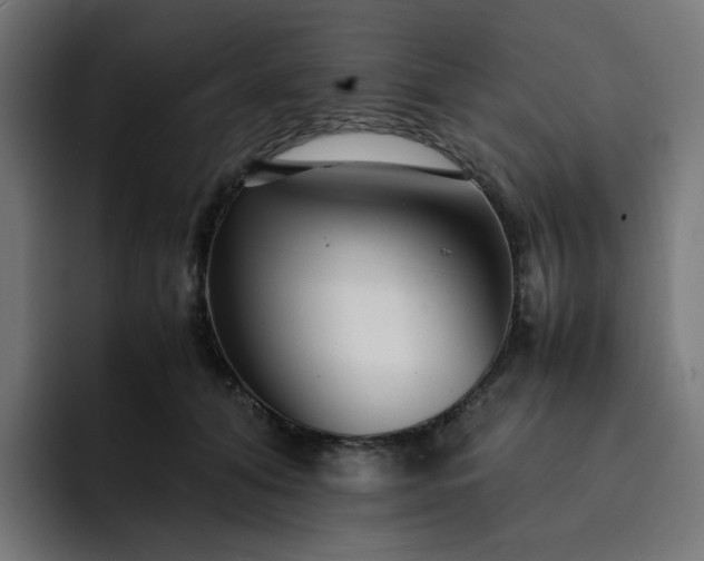 X0000093160608200710101155