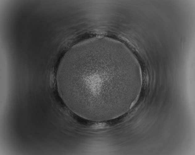 X0000093160609200710101155
