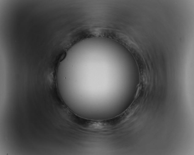 X0000093160611200710101155