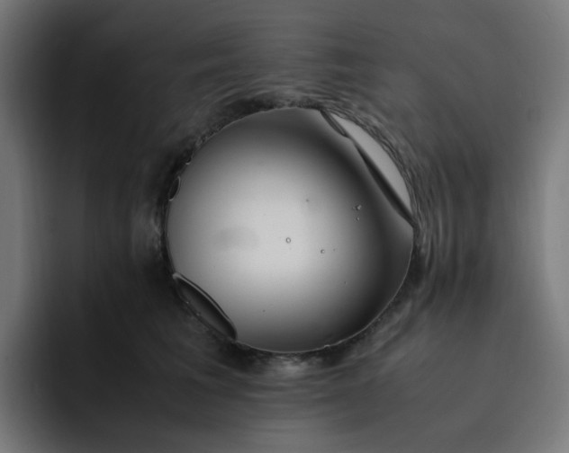 X0000093160613200710101155
