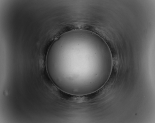 X0000093160615200710101155