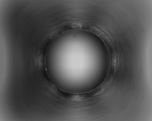 X0000093160616200710101155