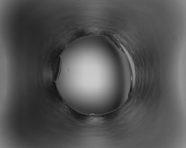X0000093160617200710101155