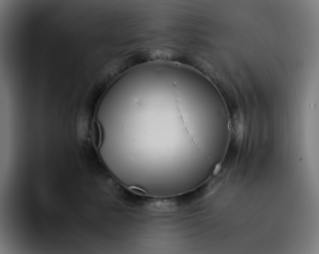X0000093160619200710101155