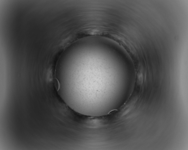 X0000093160620200710101155