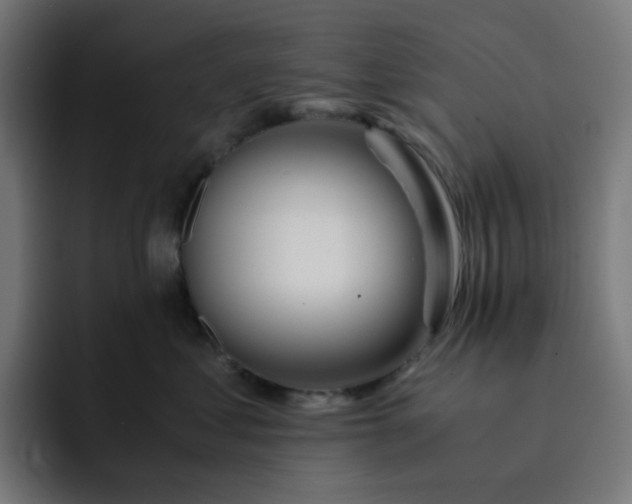 X0000093160621200710101155