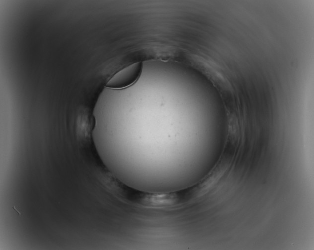 X0000093160622200710101155