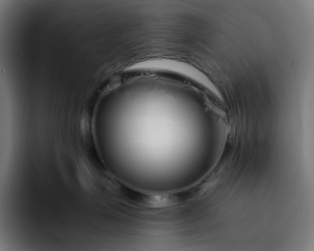 X0000093160623200710101155