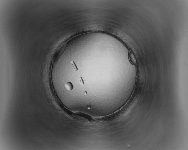 X0000093160625200710101154