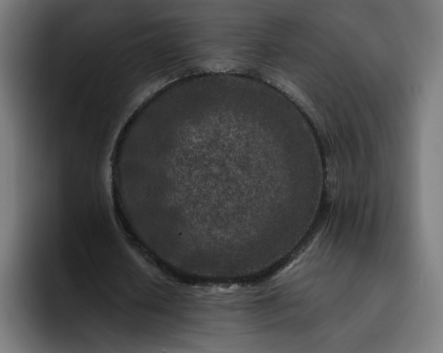 X0000093160626200710101154