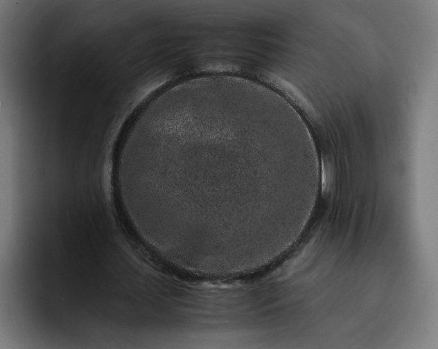 X0000093160627200710101154