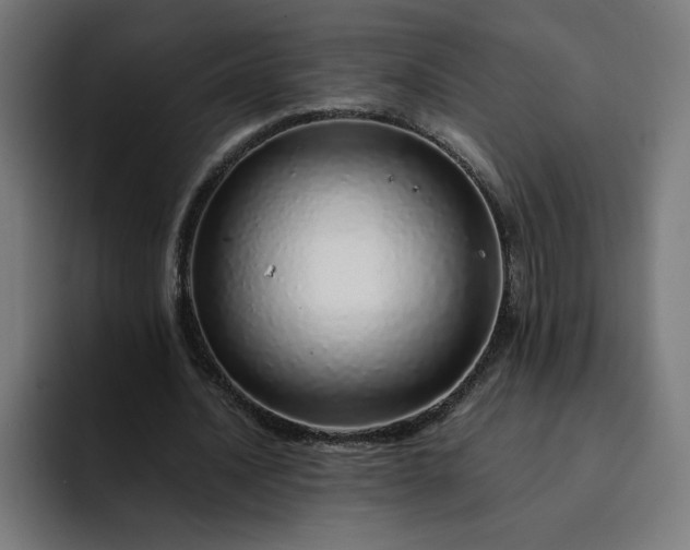 X0000093160628200710101154