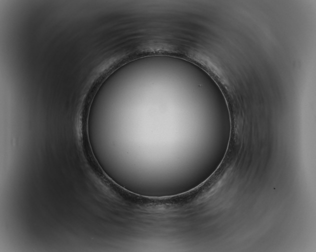 X0000093160629200710101154