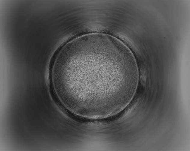 X0000093160630200710101154