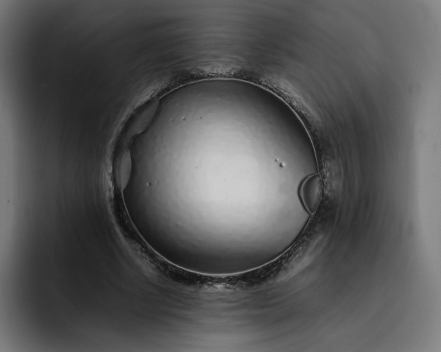 X0000093160634200710101154