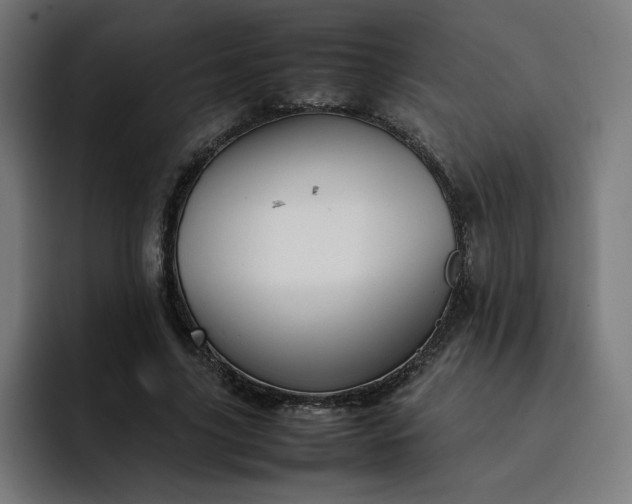 X0000093160635200710101154