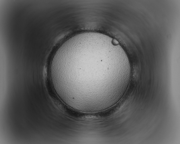 X0000093160636200710101154
