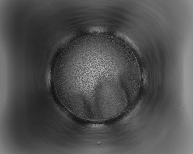 X0000093160637200710101154