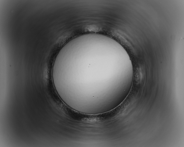 X0000093160639200710101155