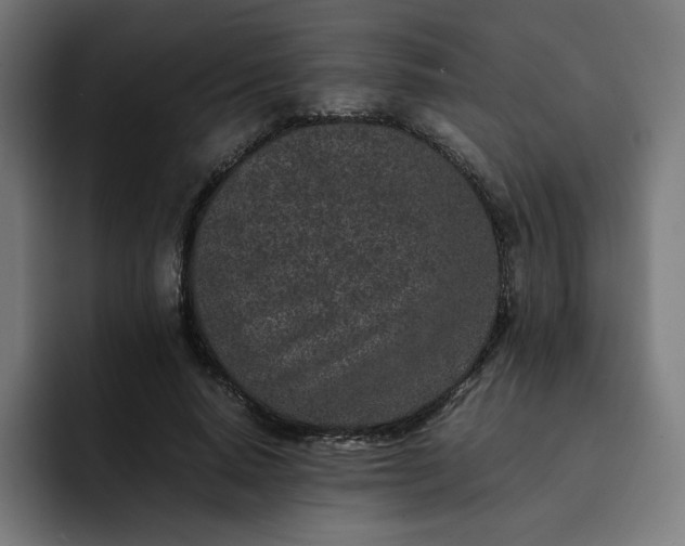 X0000093160640200710101155