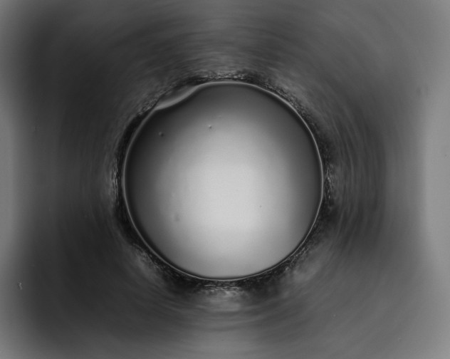 X0000093160642200710101155