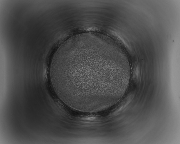 X0000093160643200710101155