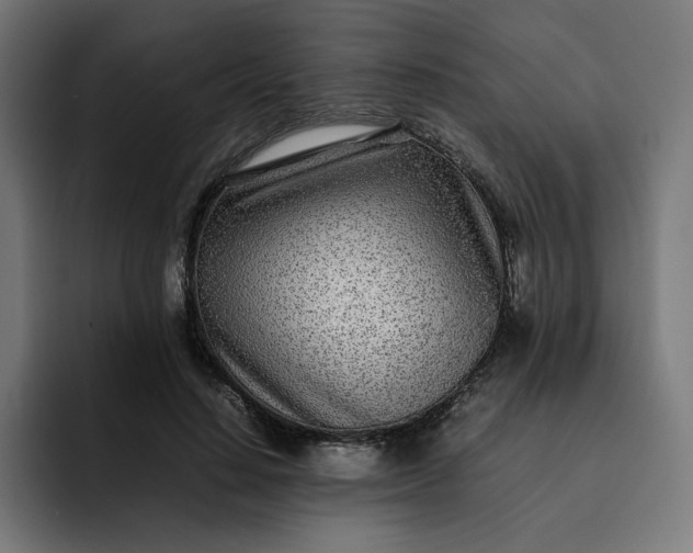 X0000093160644200710101155