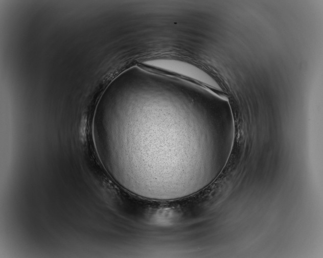 X0000093160647200710101155