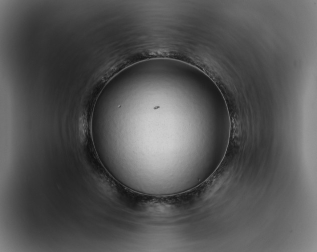 X0000093160648200710101155