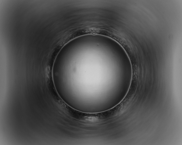 X0000093160649200710101155