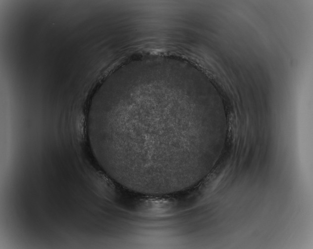 X0000093160650200710101155