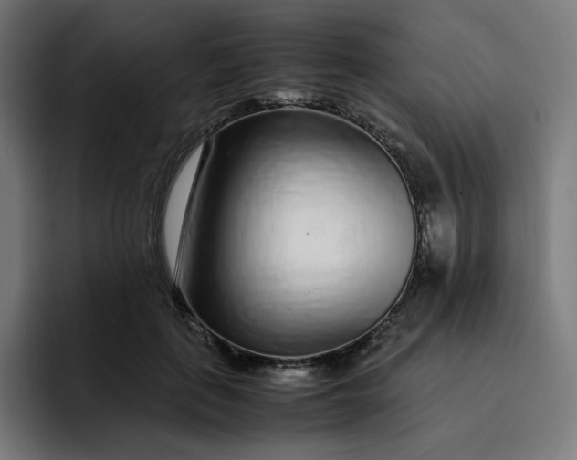 X0000093160651200710101155