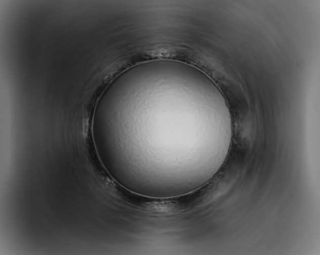 X0000093160652200710101155