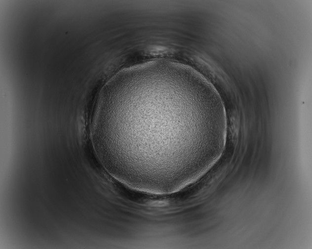 X0000093160653200710101155