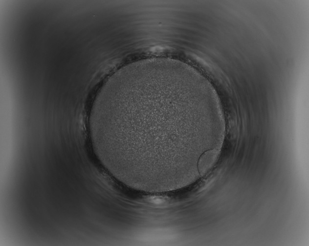 X0000093160654200710101155