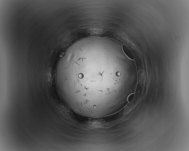 X0000093160655200710101155