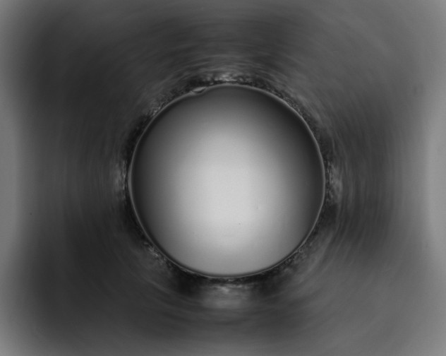 X0000093160657200710101155