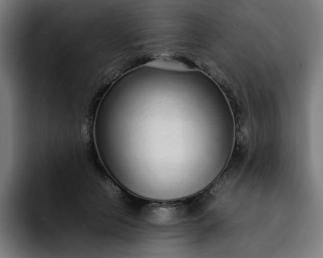 X0000093160658200710101155