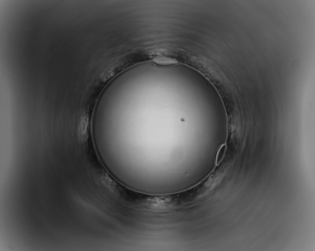 X0000093160660200710101155