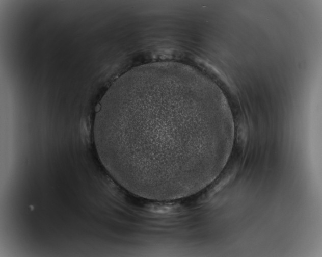 X0000093160661200710101155