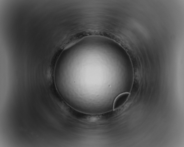 X0000093160662200710101155