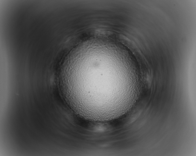 X0000093160663200710101155
