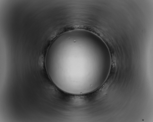 X0000093160664200710101155