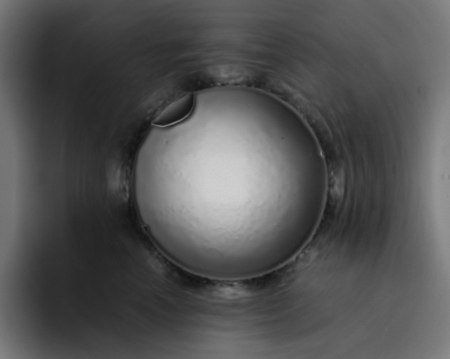 X0000093160666200710101155