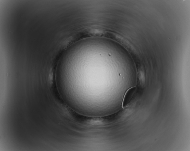 X0000093160668200710101155