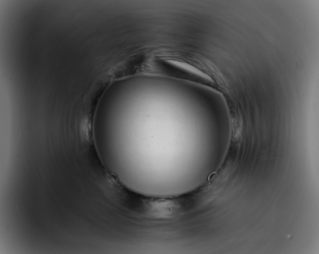 X0000093160669200710101155