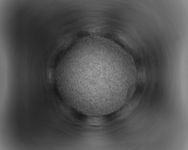 X0000093160671200710101155