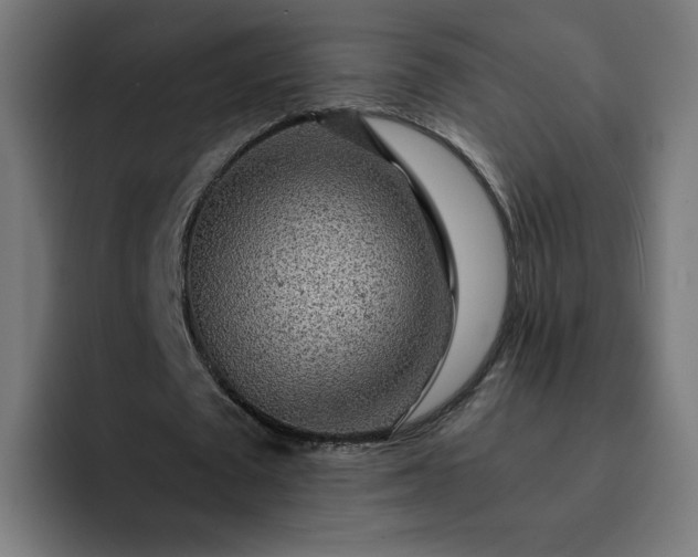 X0000093160673200710101154