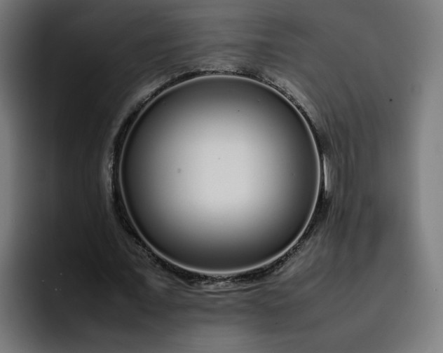 X0000093160675200710101154