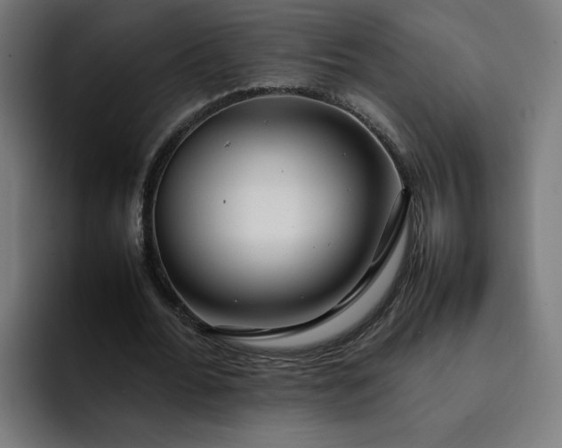 X0000093160676200710101154